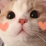 Avatar de Daniela Solís